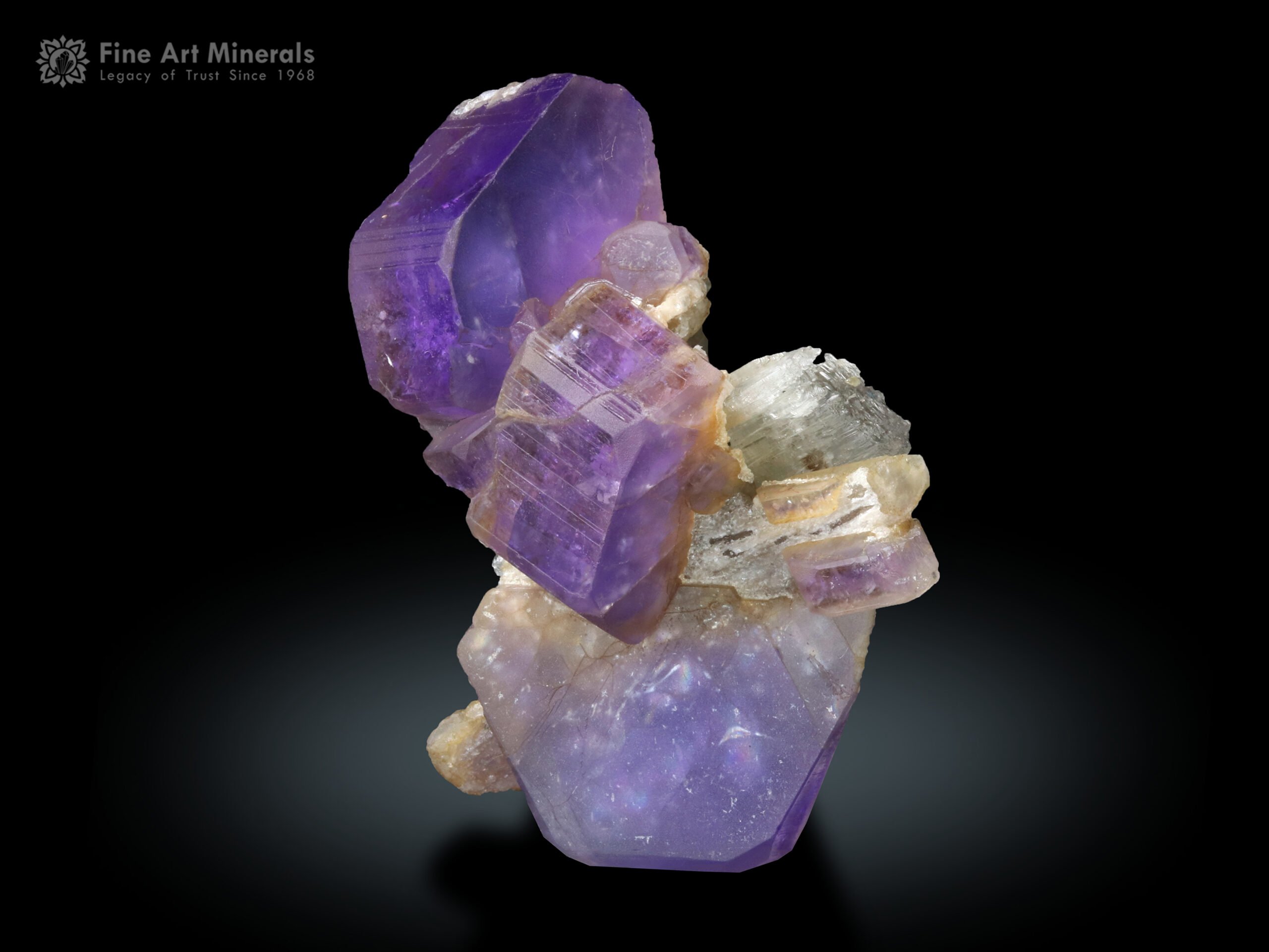 Purple Apatite Cluster on Kunzite from Afghanistan