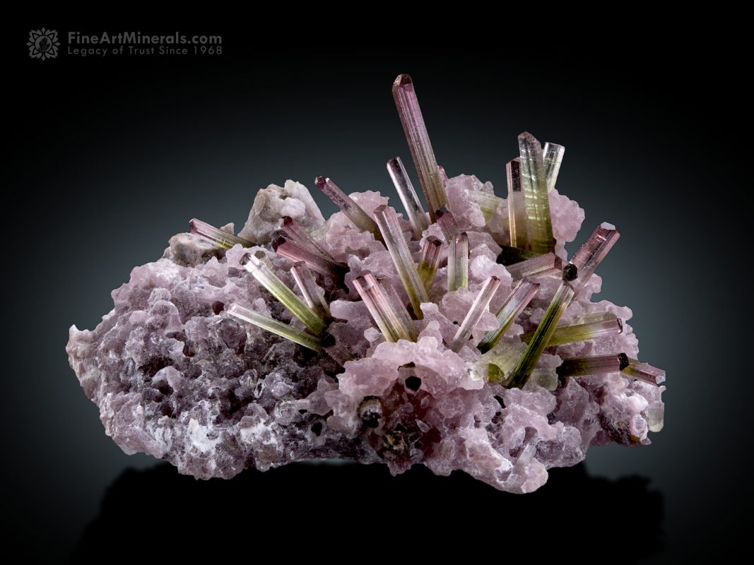 Bi Colour Tourmaline Cluster on Lepidolite