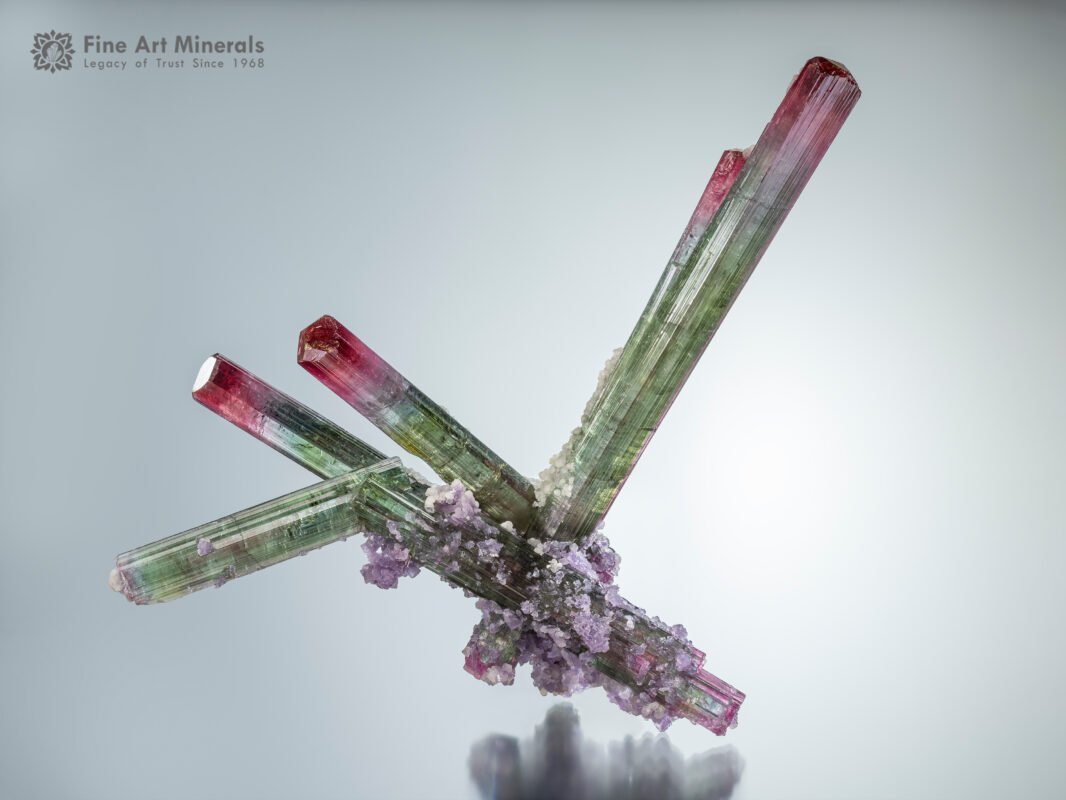 Lollipop Tourmaline with Lepidolite from Brazil