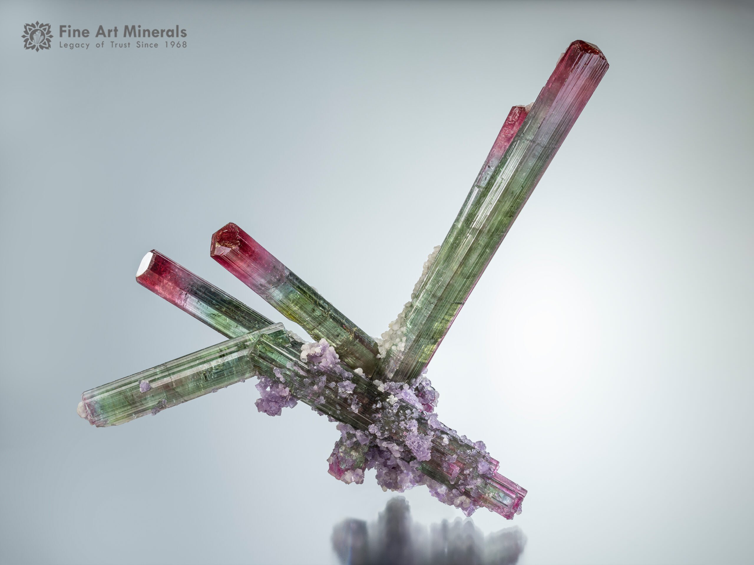 Lollipop Tourmaline with Lepidolite from Brazil