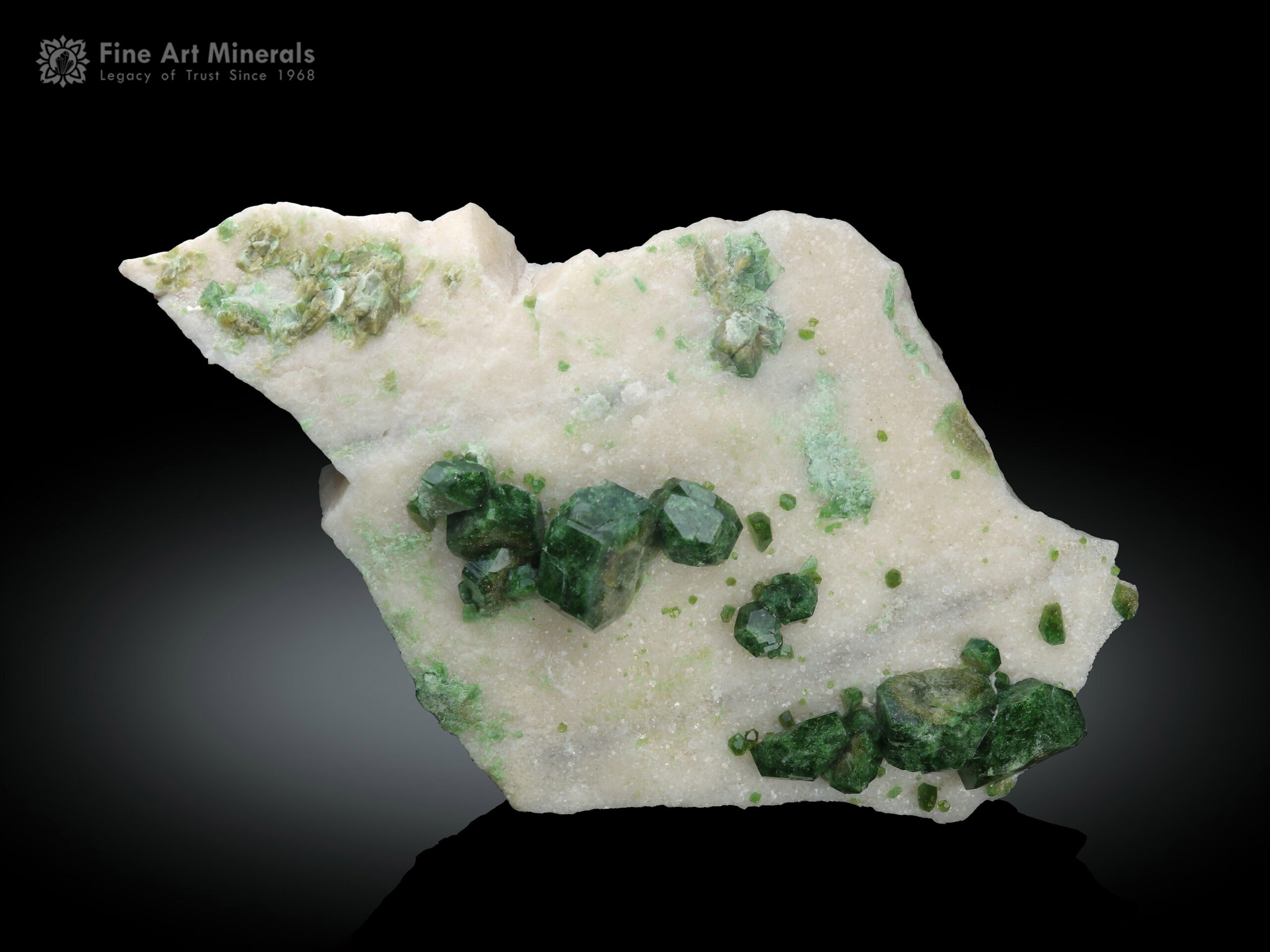 Chromium Dravite with Traces of Vanadium on Matrix from Pakistan