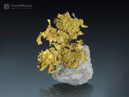 Gold on Quartz from California USA