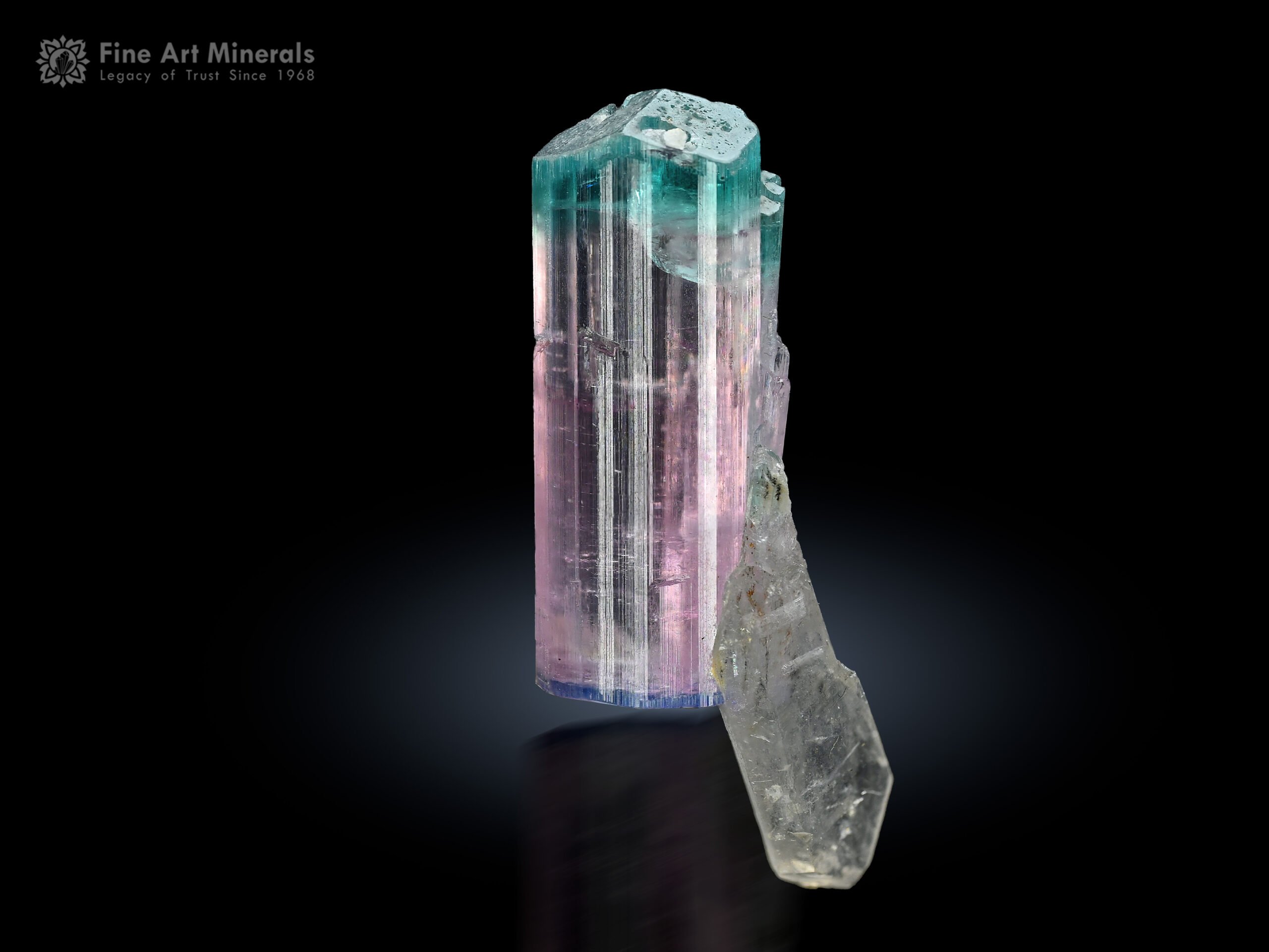Bi Colour Tourmaline with Quartz from Afghanistan