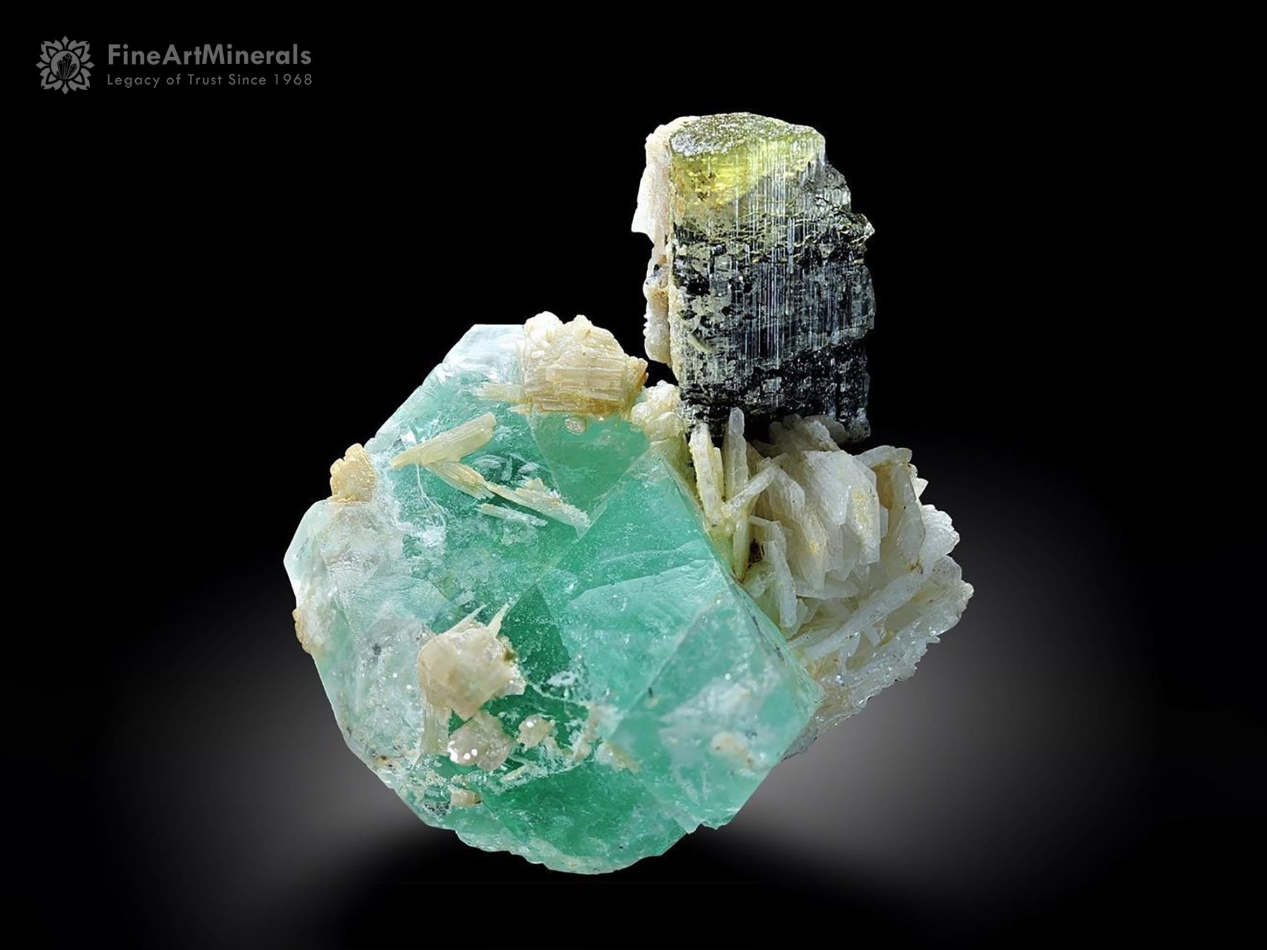 Bi Colour Tourmaline with Green Fluorite and Albite from Stak Nala Pakistan