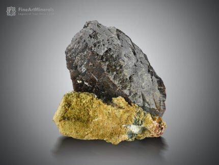 Axinite on Matrix from Baluchistan Pakistan