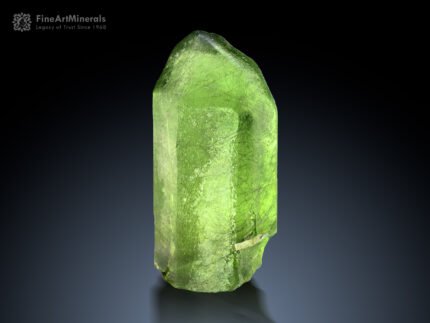 Peridot with Ludwigite Inclusion from Supat Pakistan