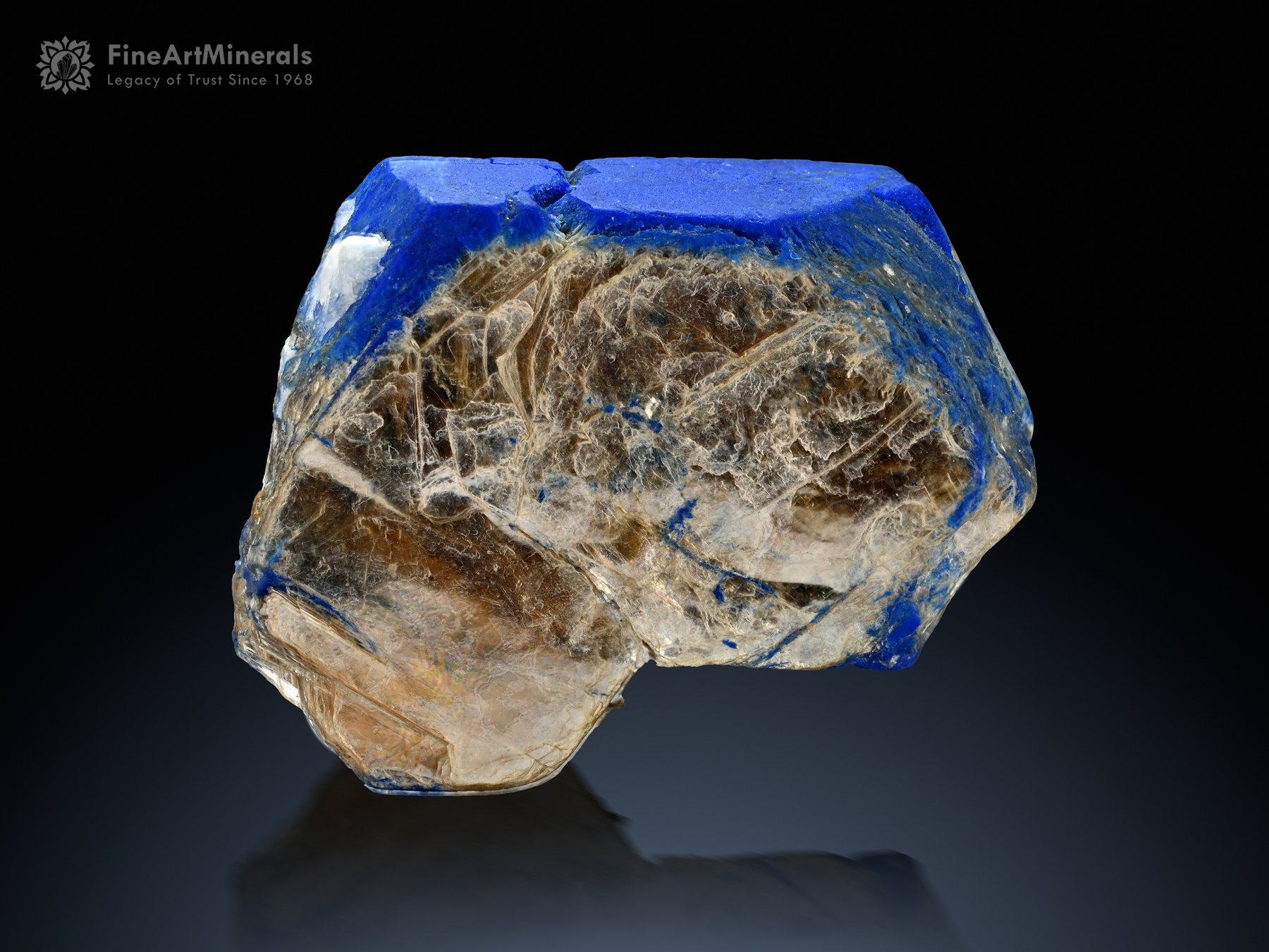 Hauyne var. Lazurite Pseudomorphing After Phlogopite