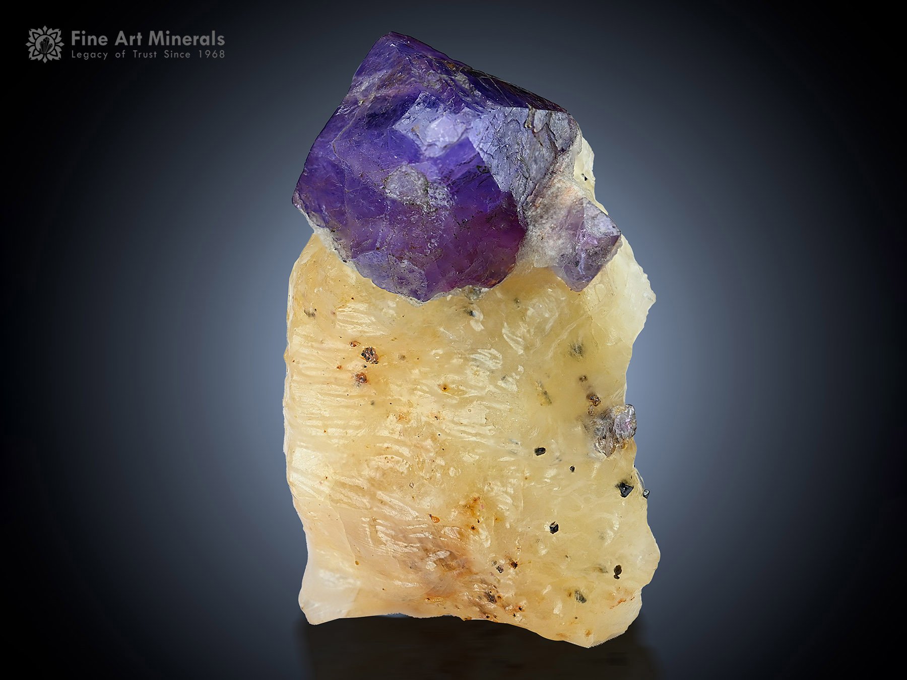 Corundum var. Sapphire on Matrix from Pakistan