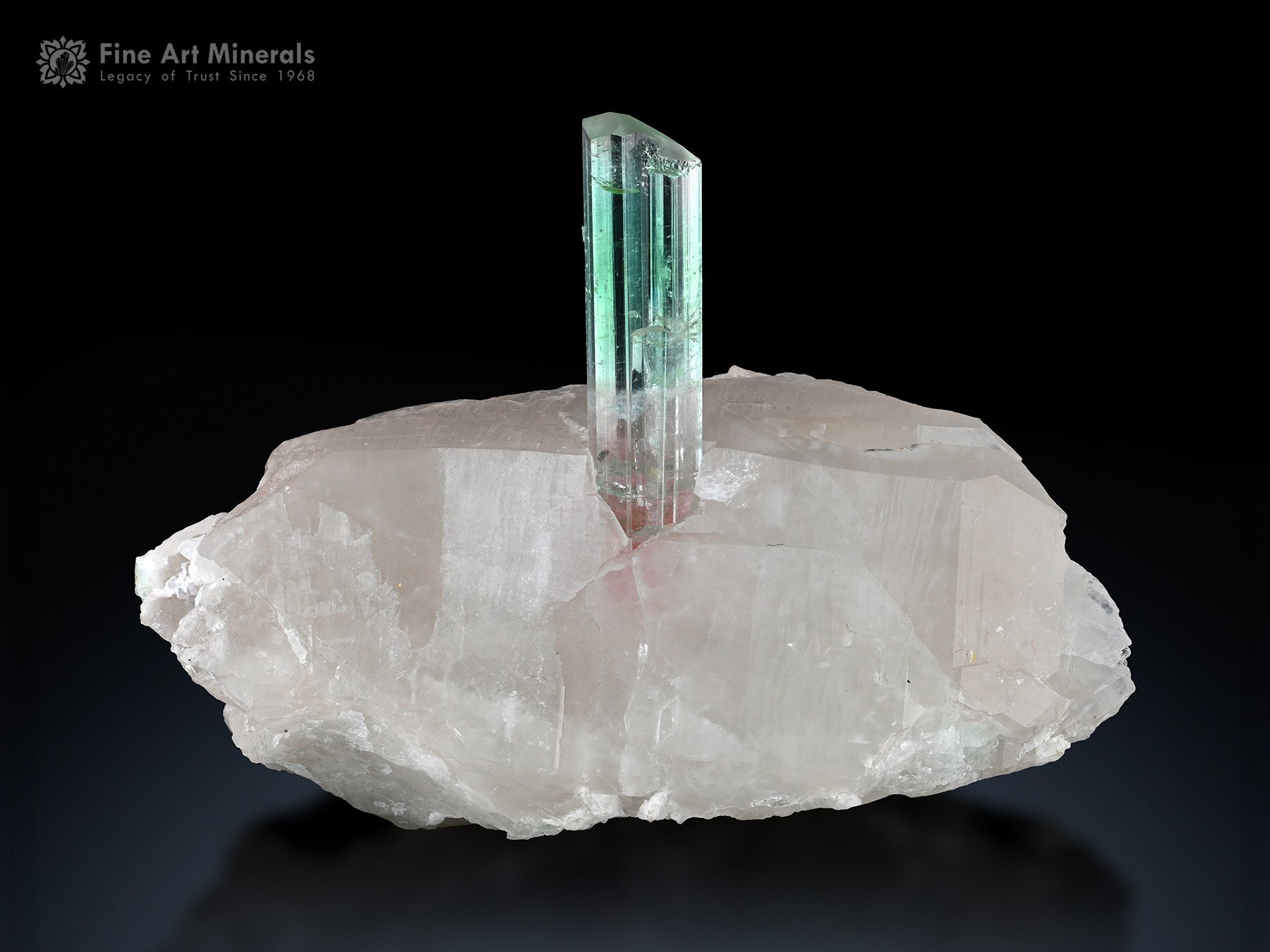 Tourmaline on Quartz from Paprok Afghanistan