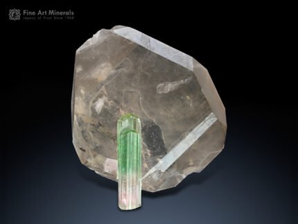 Tourmaline on Quartz from Paprok Afghanistan