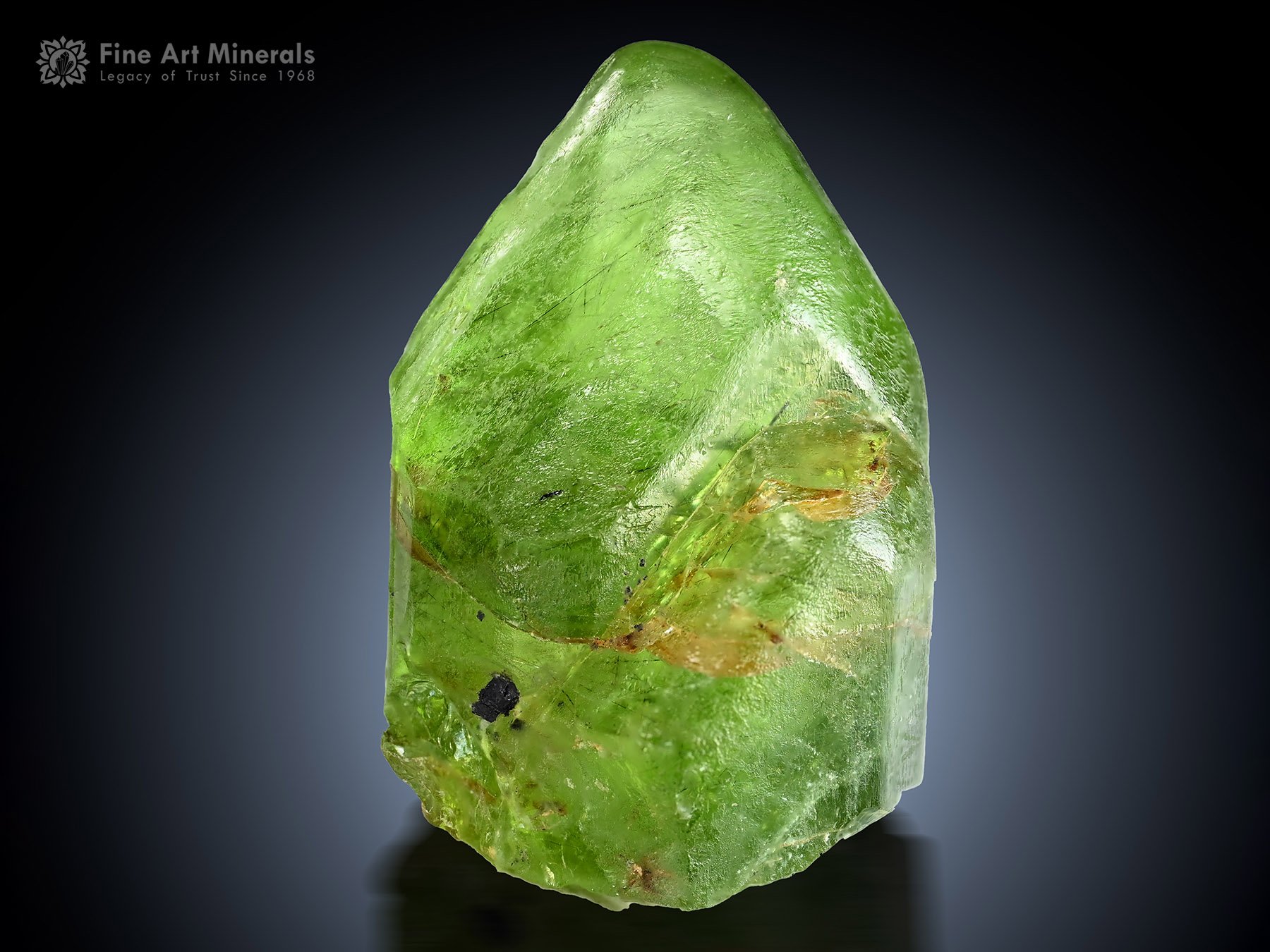 Peridot with Ludwigite Inclusion from Supat Pakistan