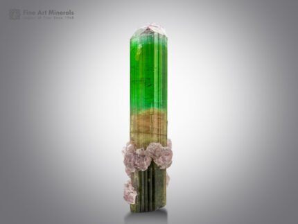 Tourmaline with Lepidolite from Paprok Afghanistan