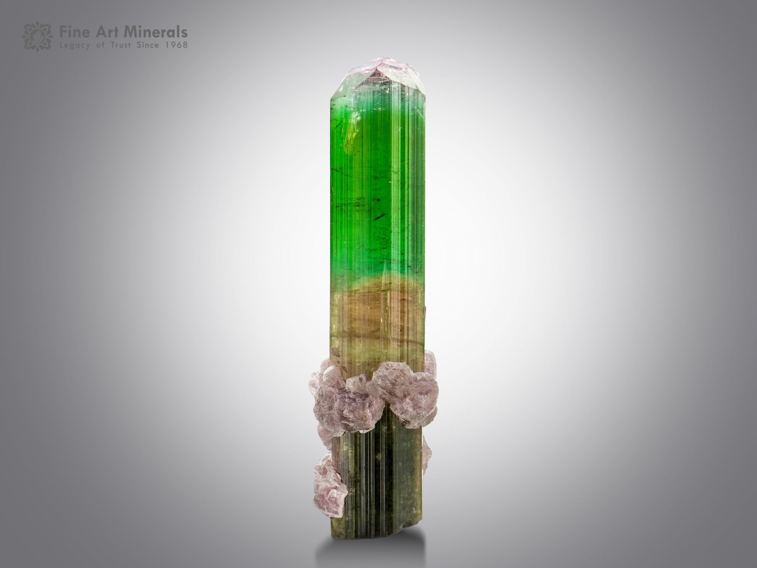 Tourmaline with Lepidolite from Paprok Afghanistan