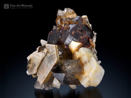 Smoky Quartz with Spessartine and Muscovite on Albite