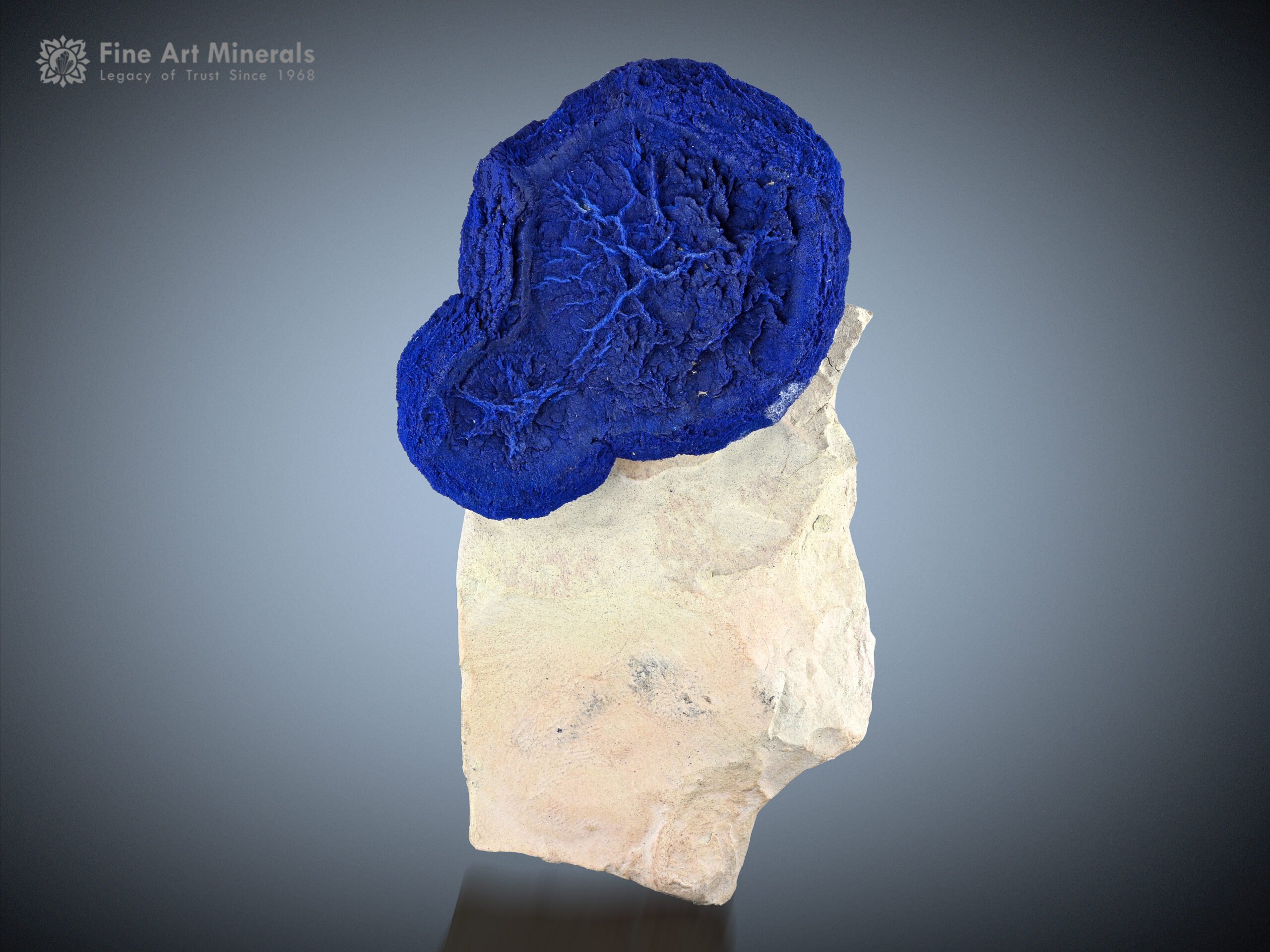 Azurite on Matrix from Australia