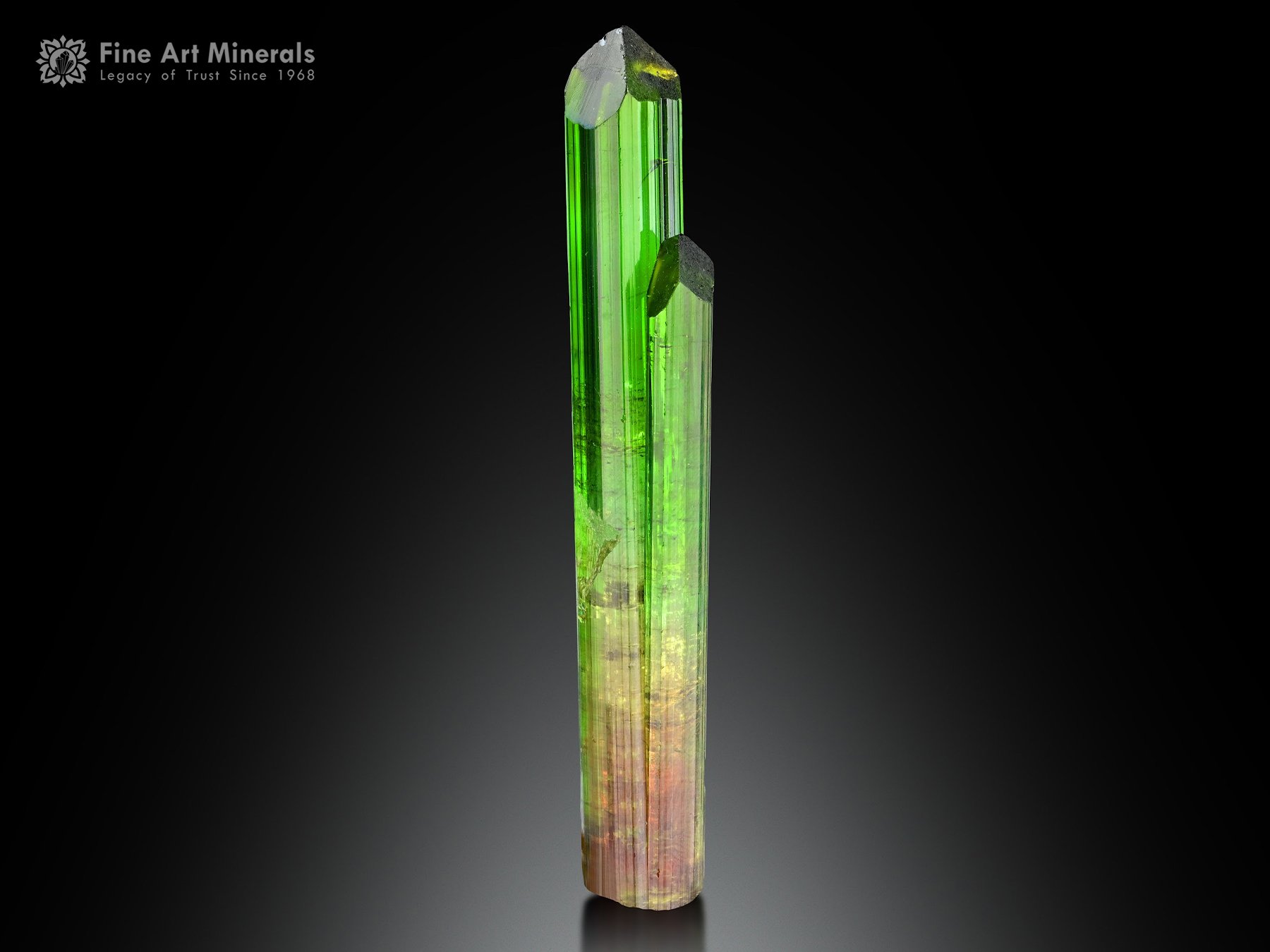 Tourmaline from Rocket Pocket Brazil