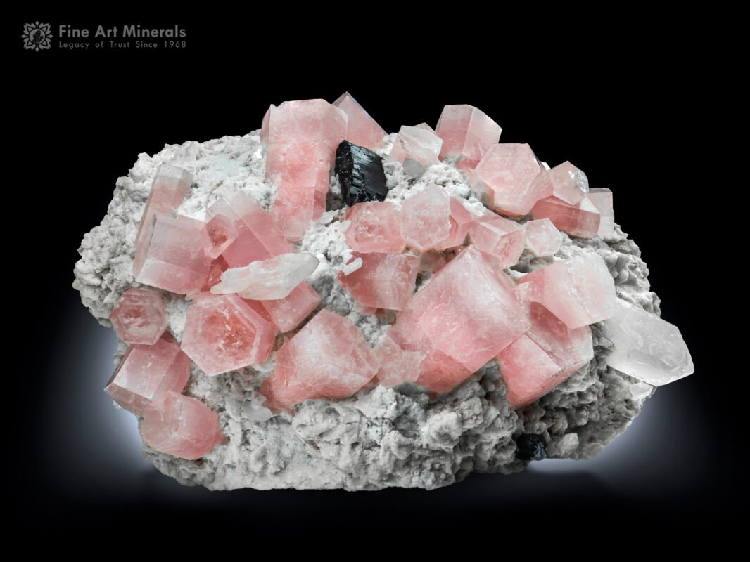 Crown of Roundu Morganite with Tantalite on Feldspar