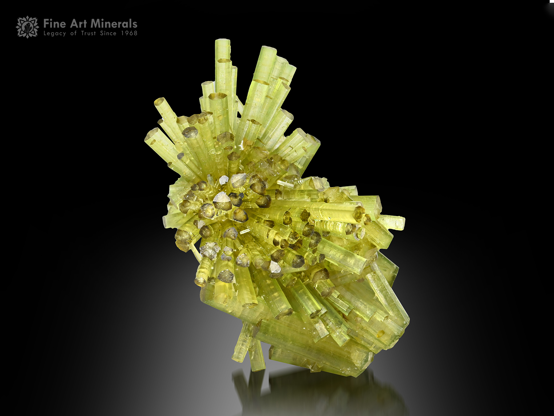 Tourmaline Cluster from Chhappu Pakistan