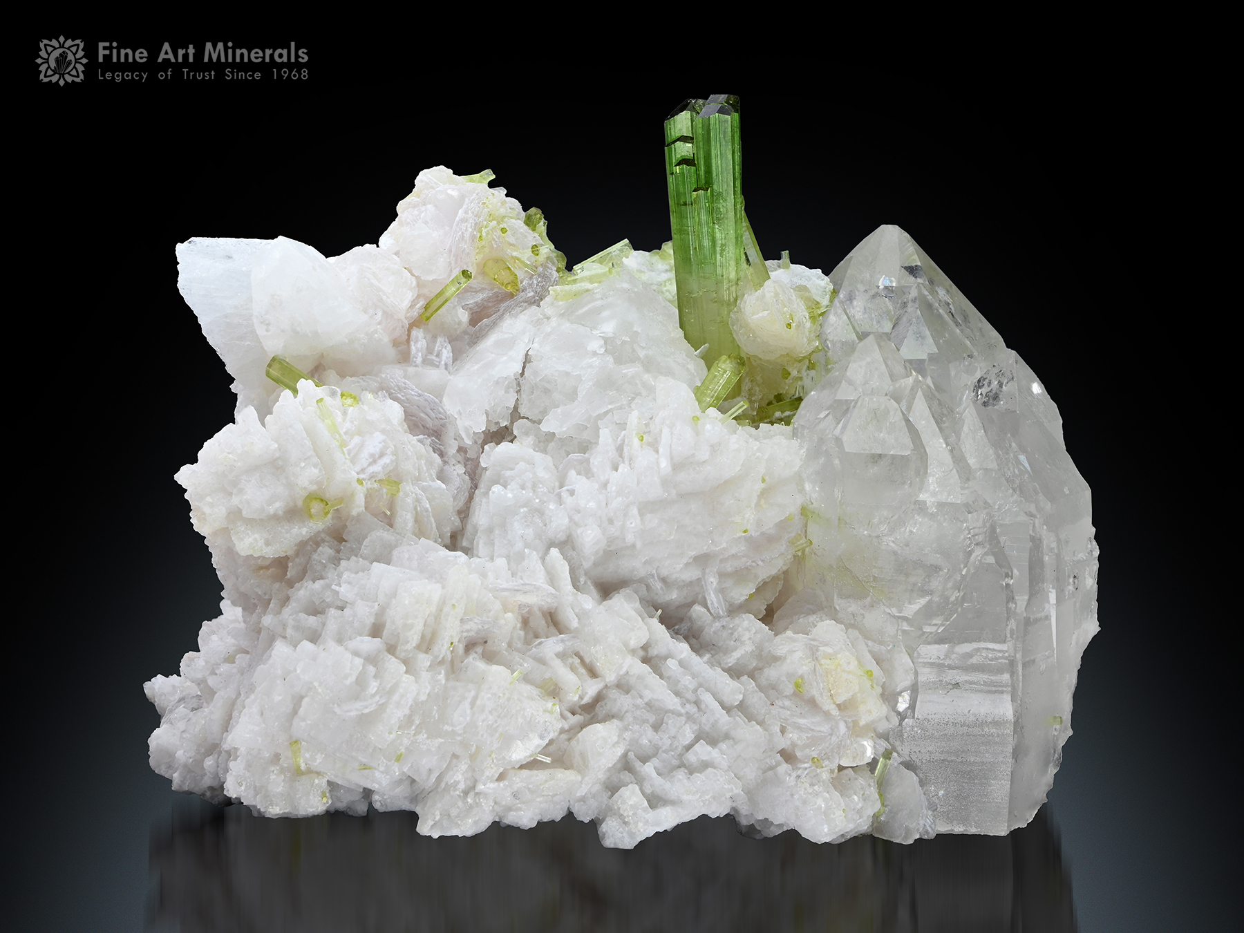 Tourmaline with Quartz and Vitaniemiite from Pakistan