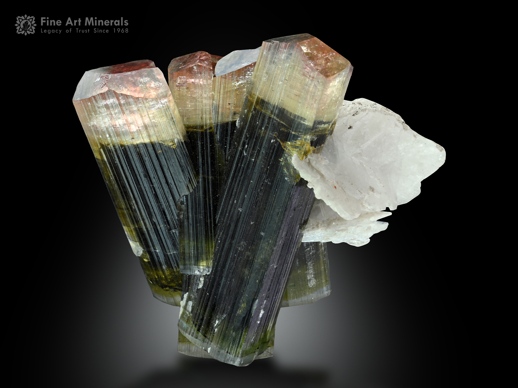 Tourmaline cluster from Stak Nala Pakistan