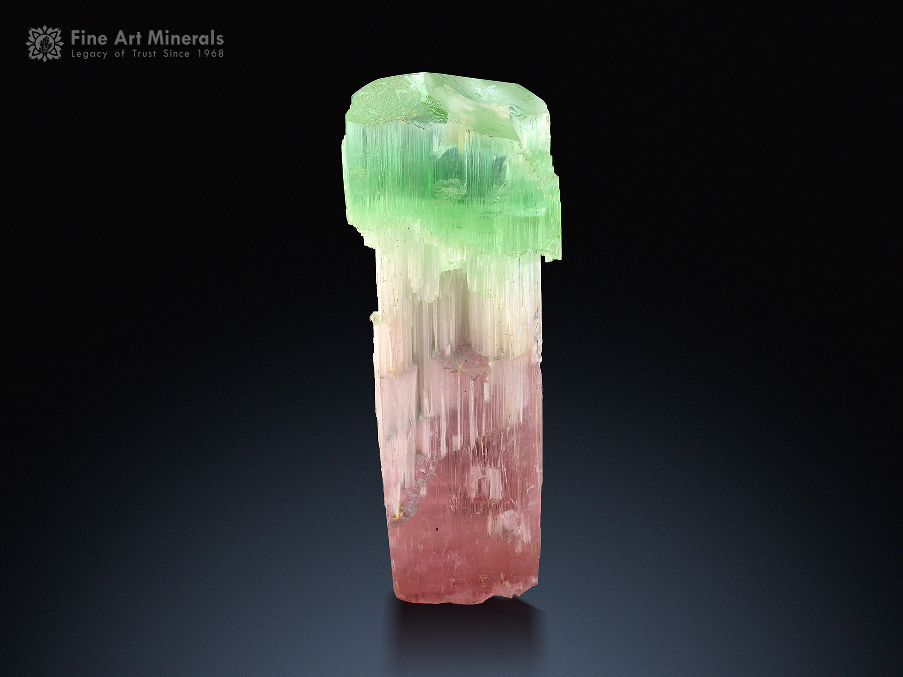 Sceptre Tourmaline from Kunar Afghanistan