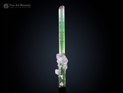 Tourmaline with Lepidolite from Paprok Afghanistan