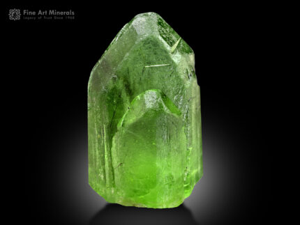 Peridot with Ludwigite Inclusions from Pakistan
