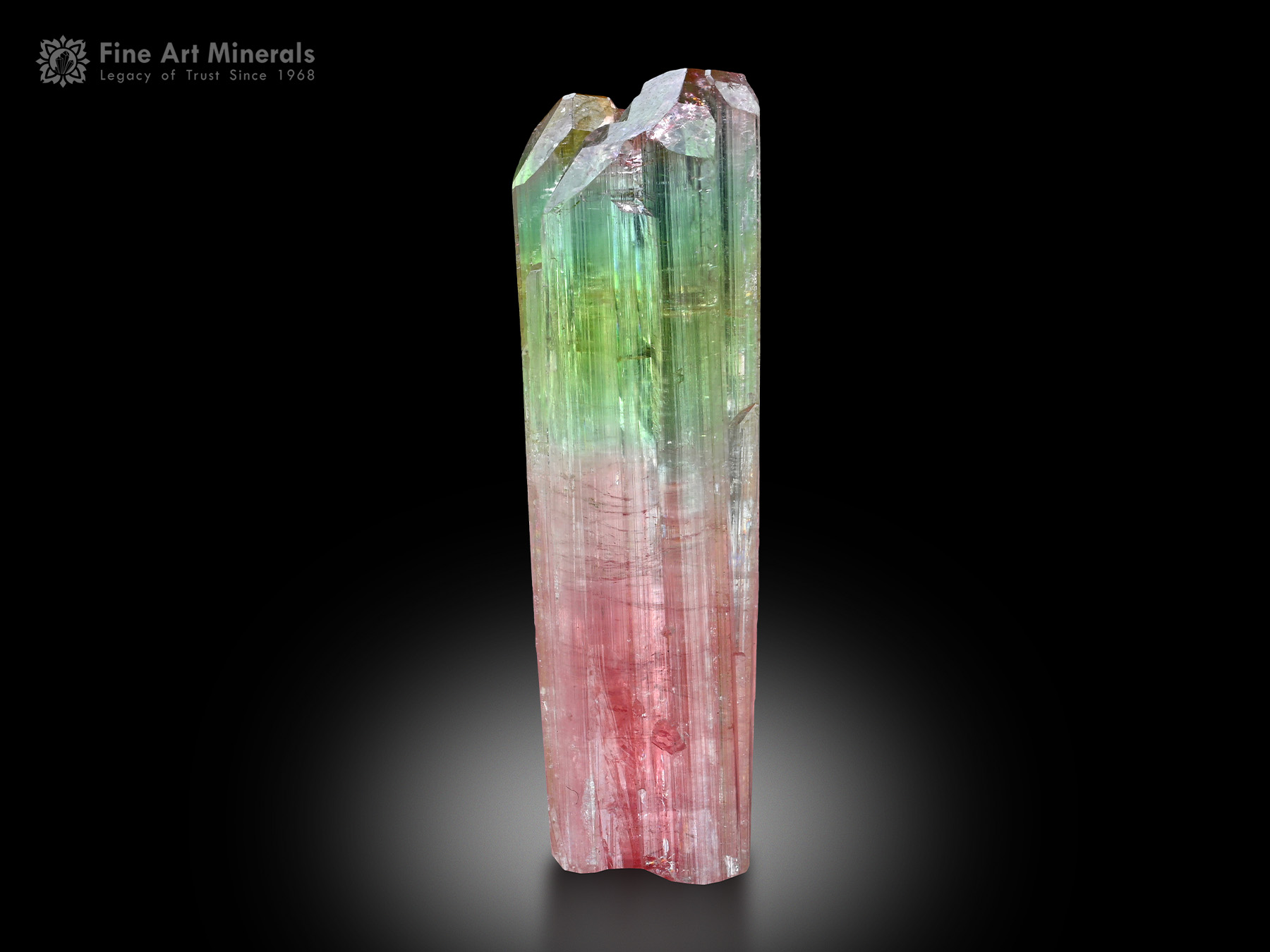 Tourmaline Crystal from Afghanistan