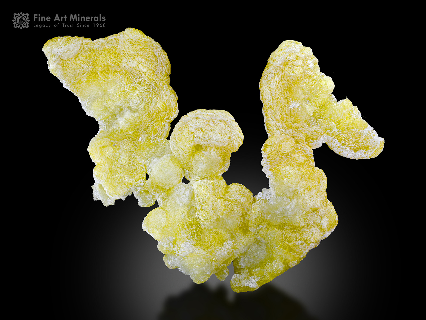 Brucite from Pakistan