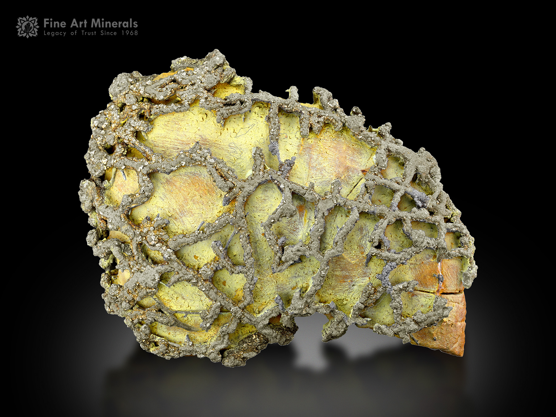 Pyrite on Matrix from Pakistan