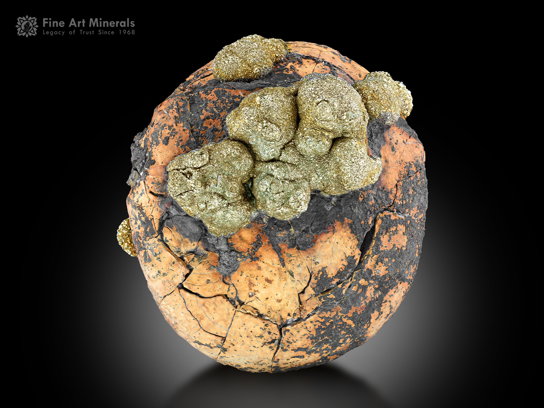 Pyrite on Matrix from Pakistan.