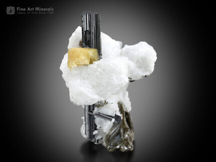 Schorl with Apatite and Albite