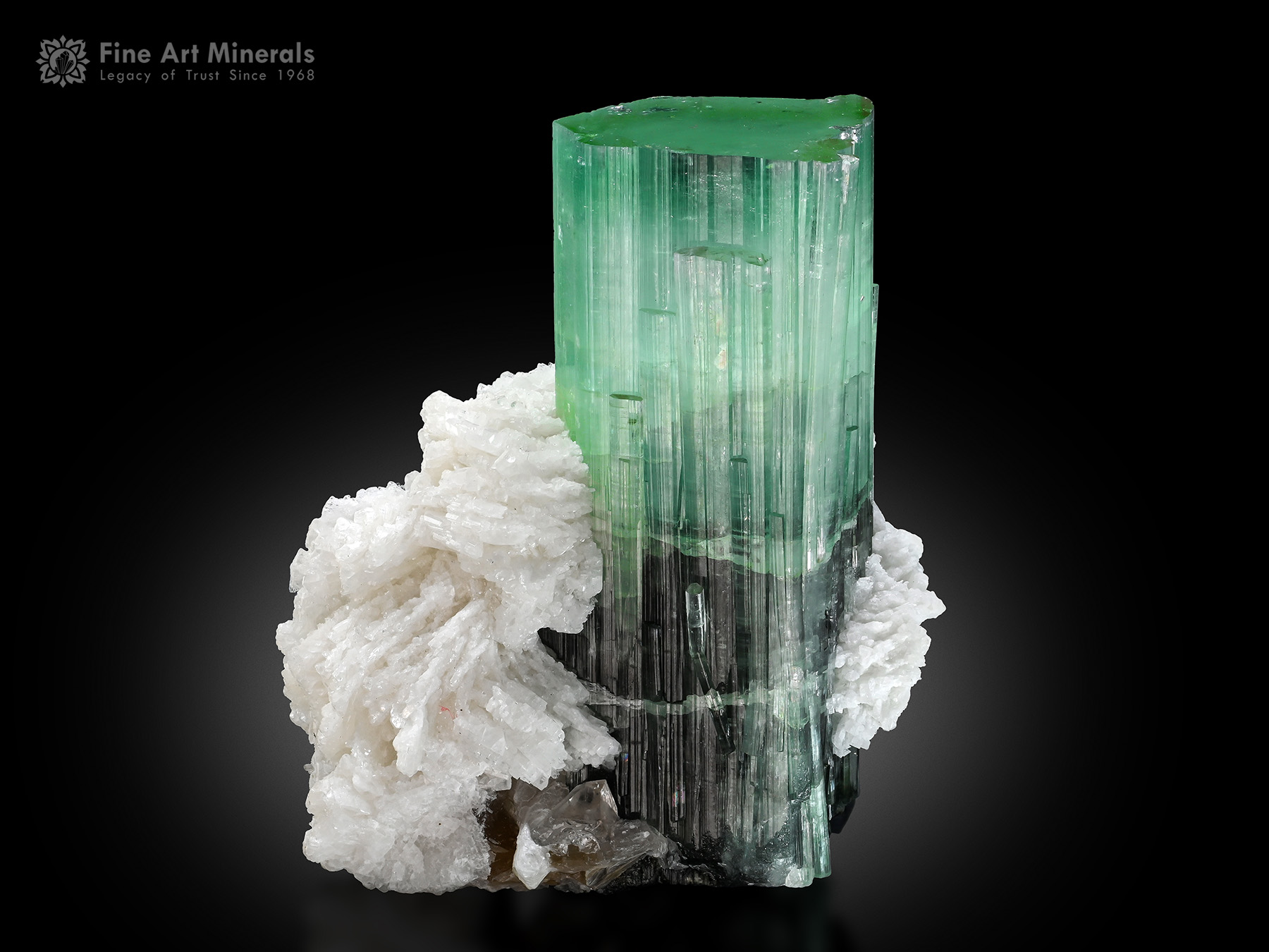 Tourmaline with Cleavelandite from Afghanistan