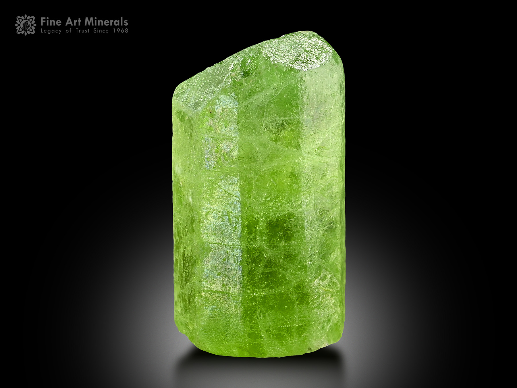 Peridot Crystal from Pakistan