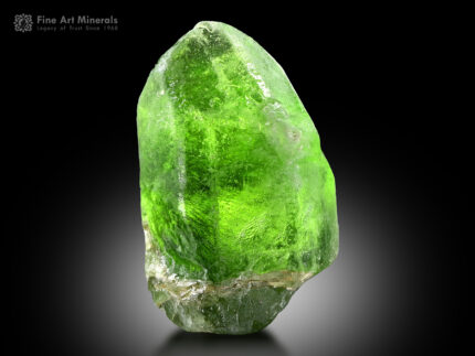 Peridot with Ludwigite from Pakistan