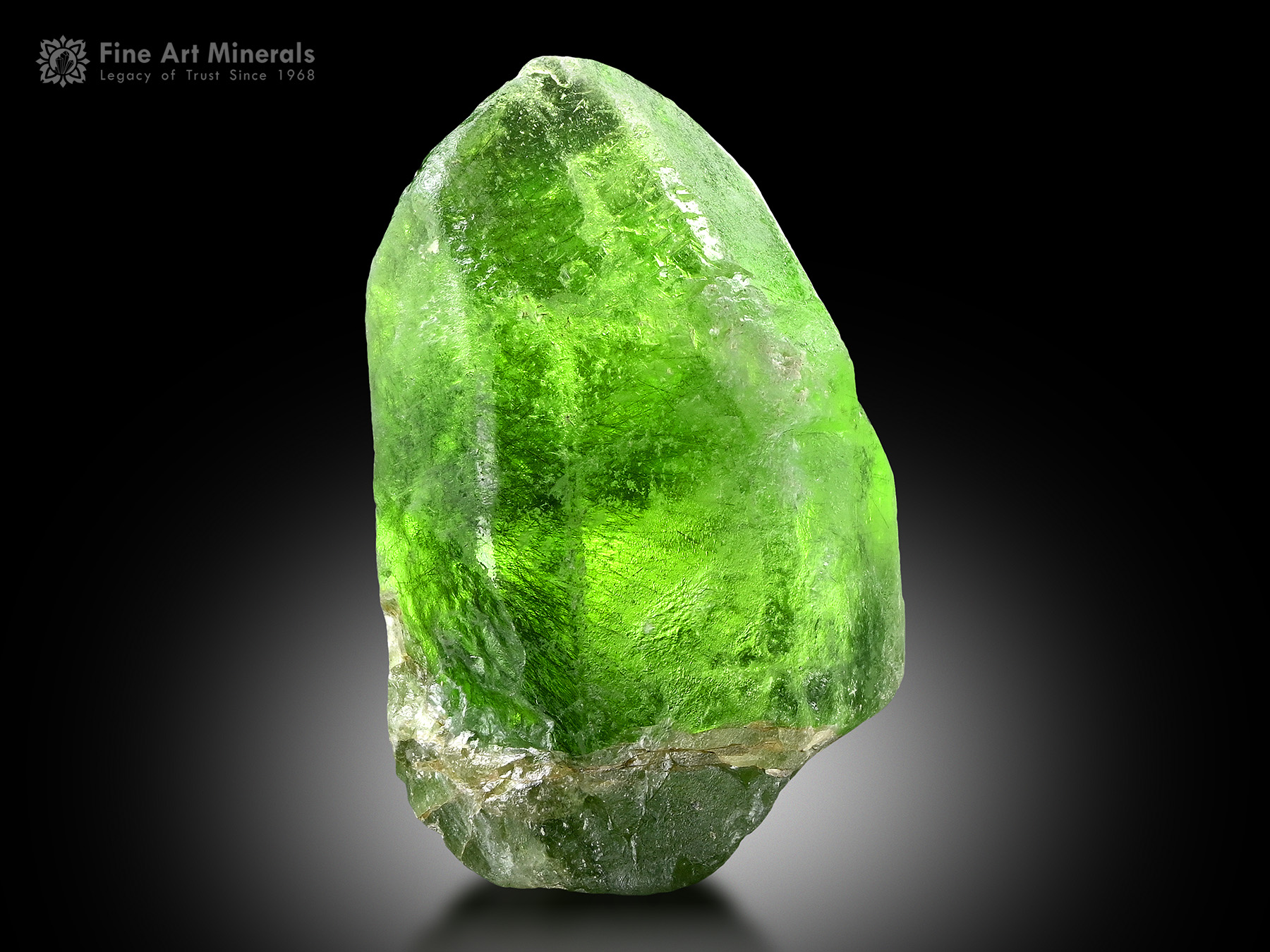 Peridot with Ludwigite from Pakistan