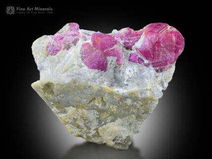 Ruby on Matrix from Pakistan