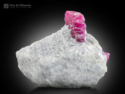 Ruby on Matrix from Pakistan