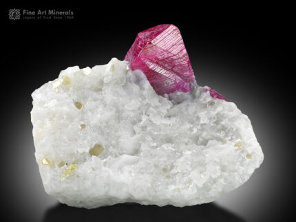 Ruby on Matrix from Pakistan