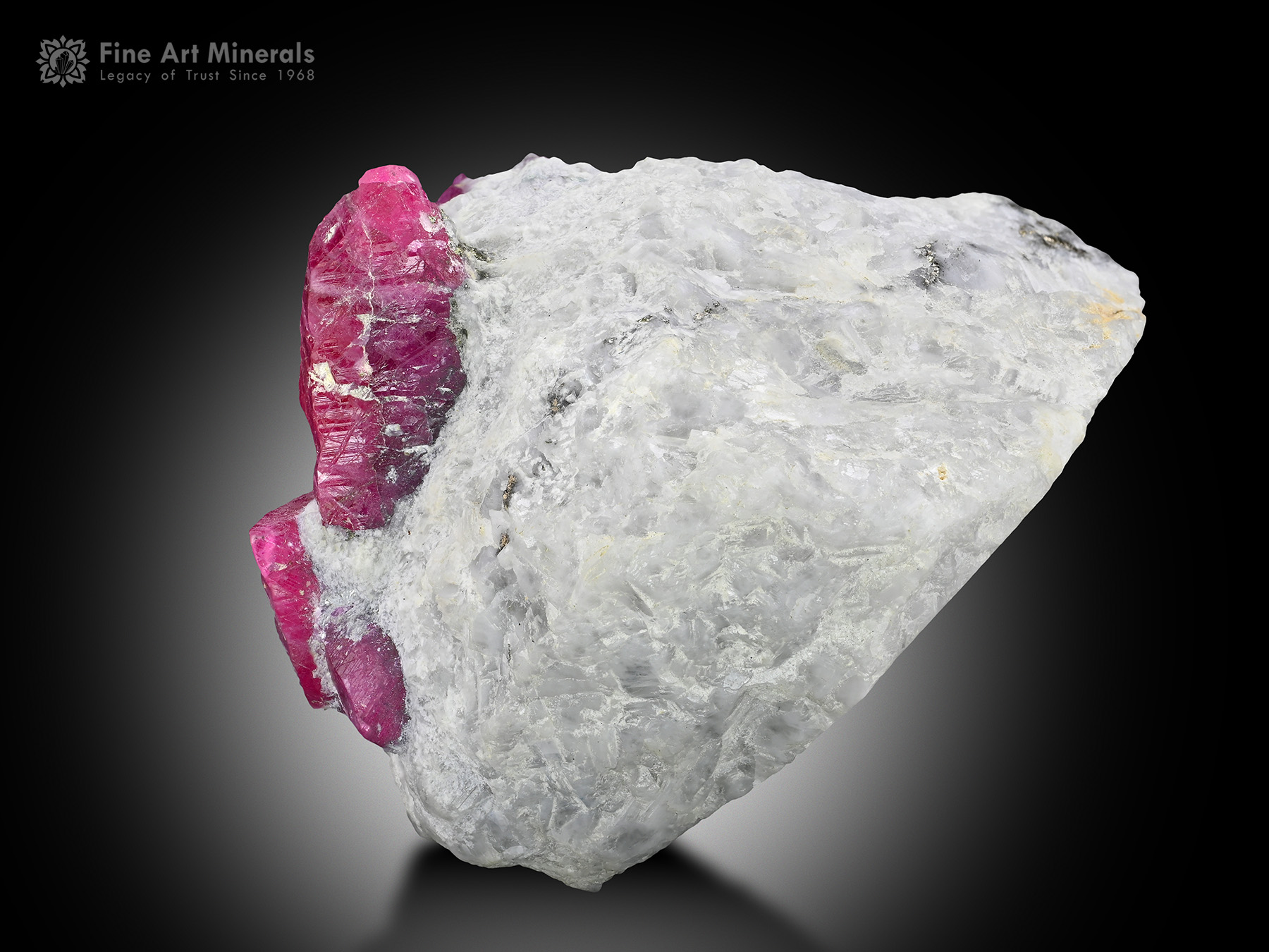 Ruby on Matrix from Pakistan