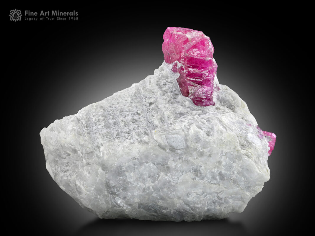 Ruby on Matrix from Pakistan