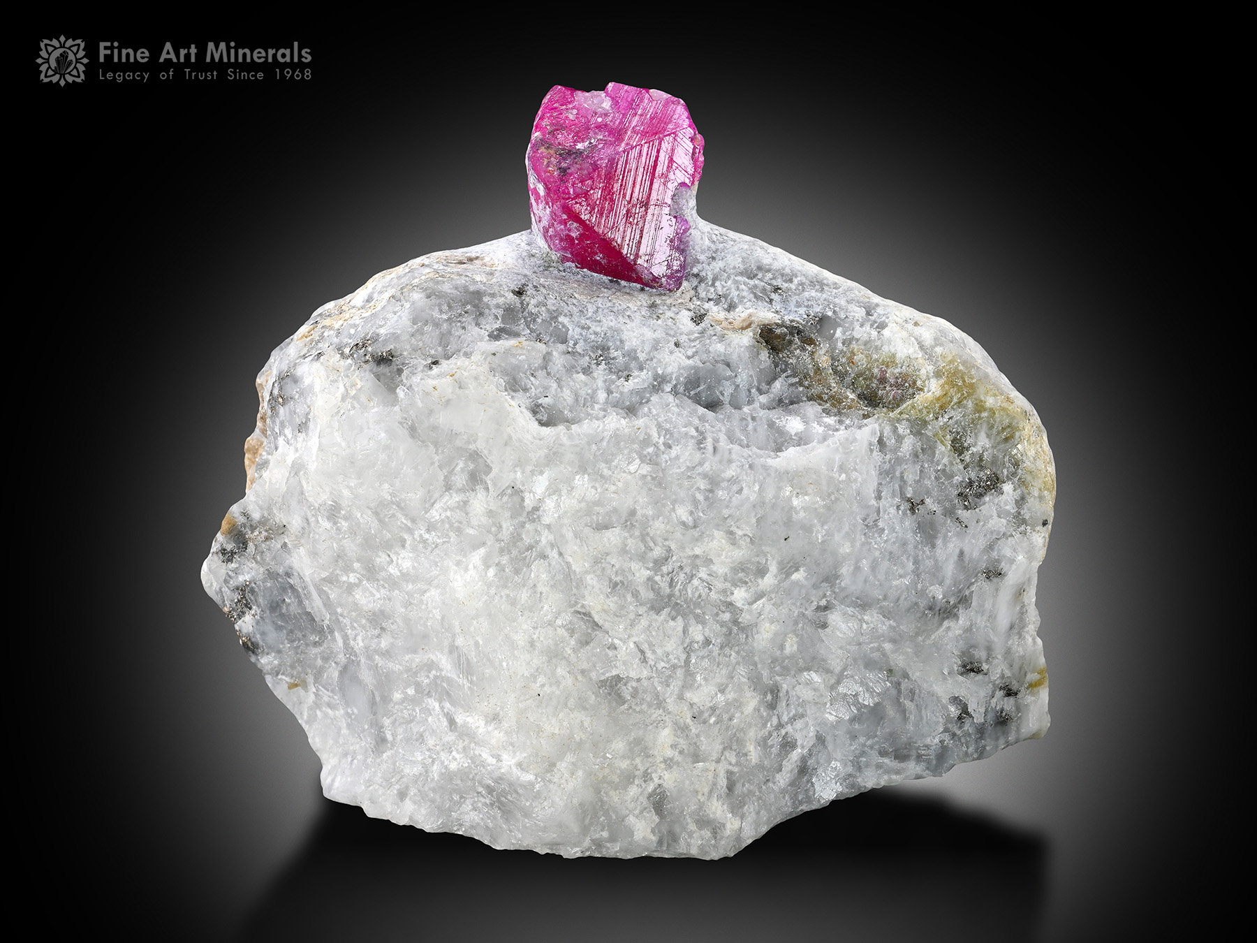 Ruby on Matrix from Pakistan.
