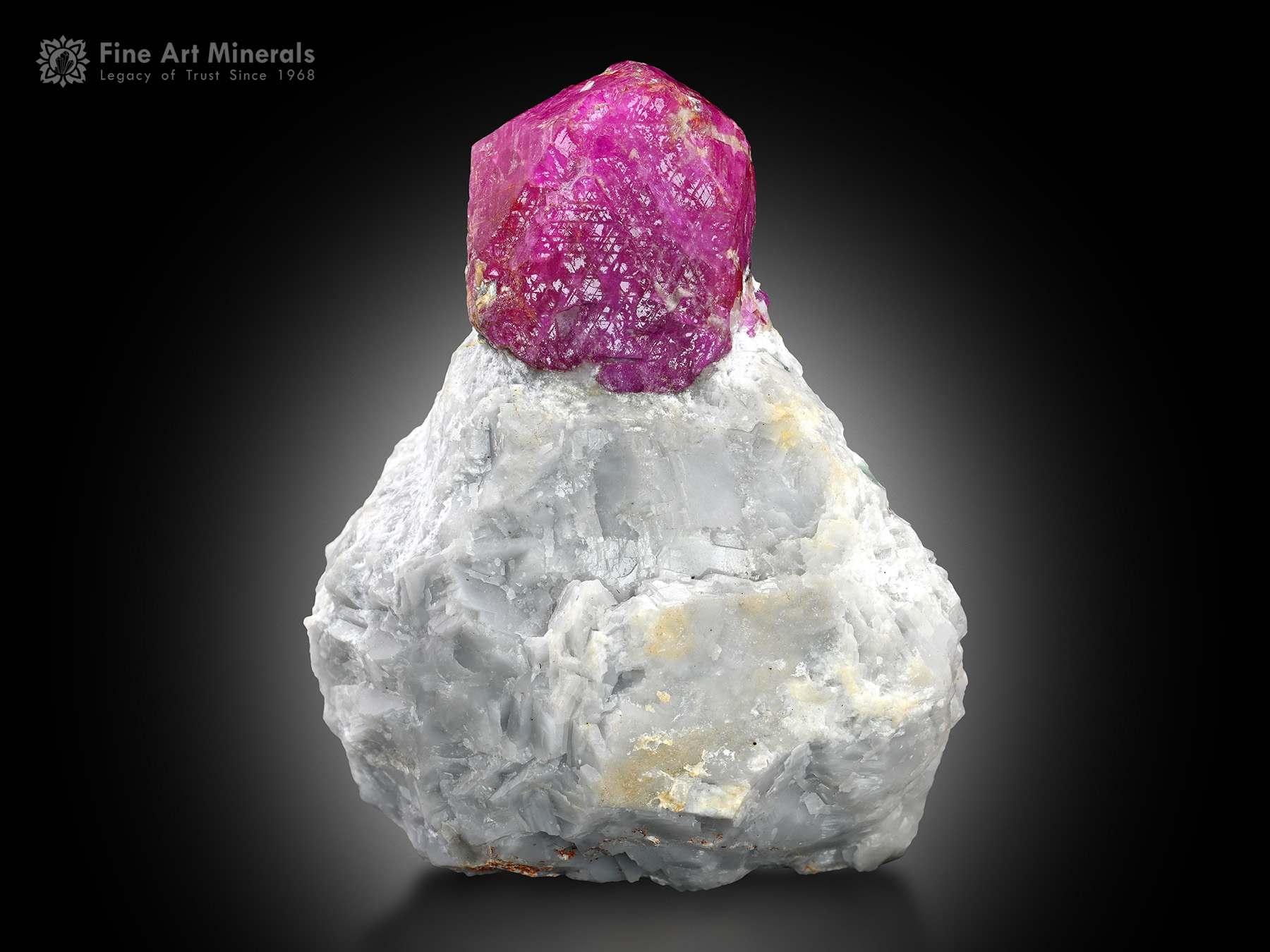 Ruby on Matrix from Pakistan