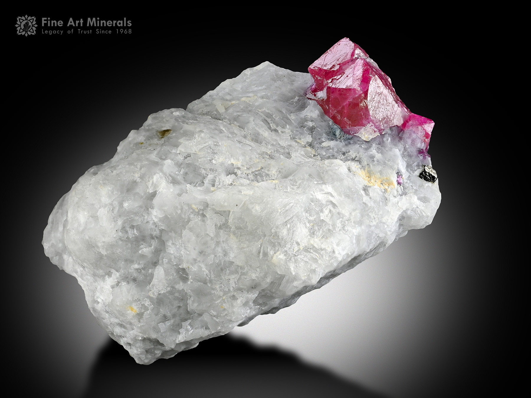 Ruby on Matrix from Pakistan