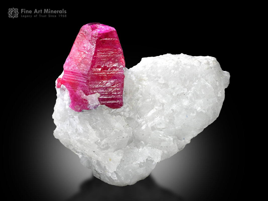 Ruby on Matrix from Pakistan