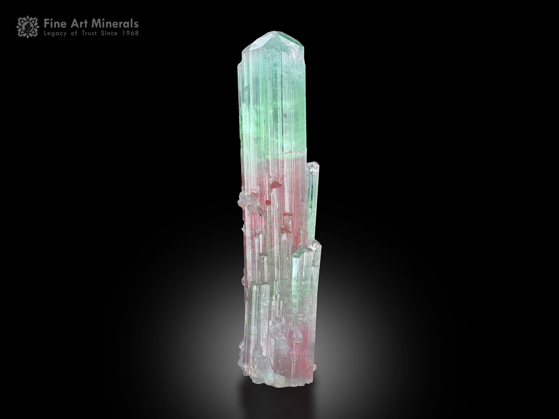 Tourmaline Crystal from Afghanistan