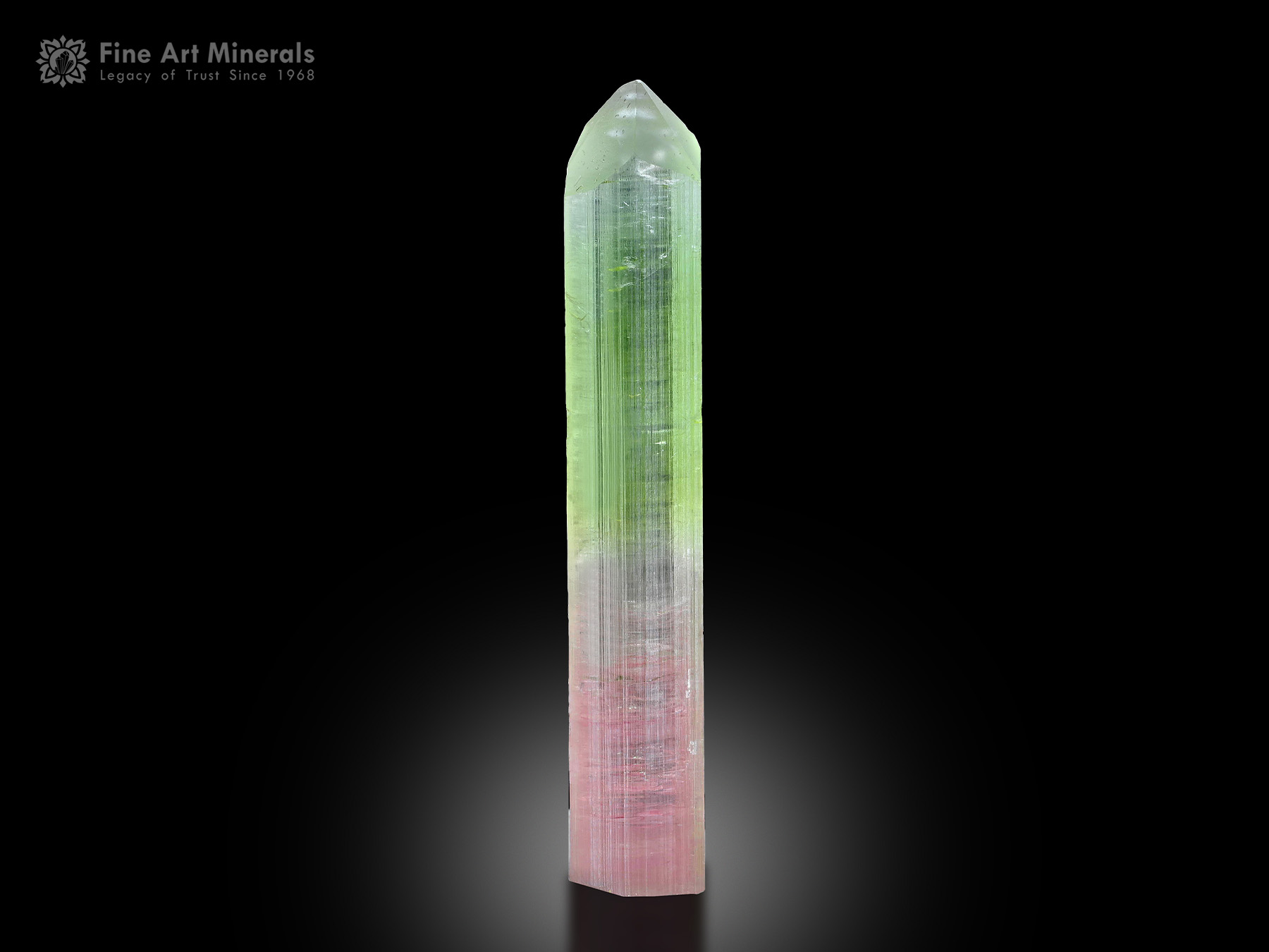 Tourmaline Crystal from Afghanistan