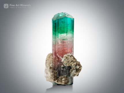 Tourmaline with Albite