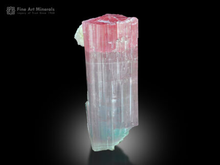 Tourmaline with Albite