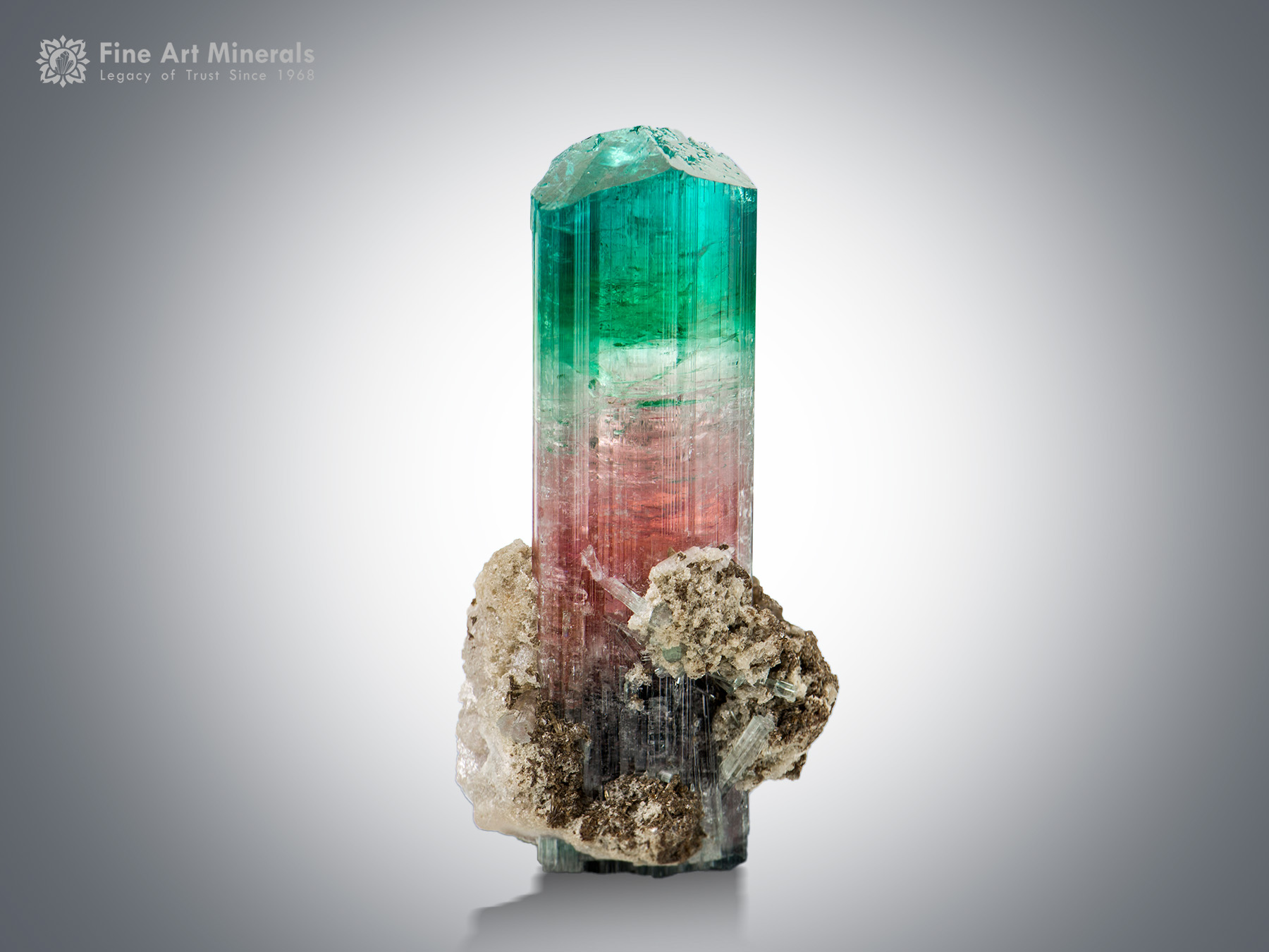 Tourmaline with Albite